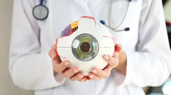 ophthalmology at Eye Disease Consultants